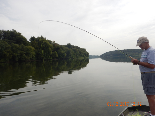 DSCN2586.jpg -                                Oh My, looks like I finally got one on the fly.
