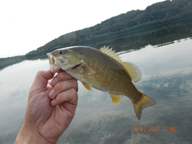 DSCN2589.jpg -                                I know, I know, Gary was still catching.