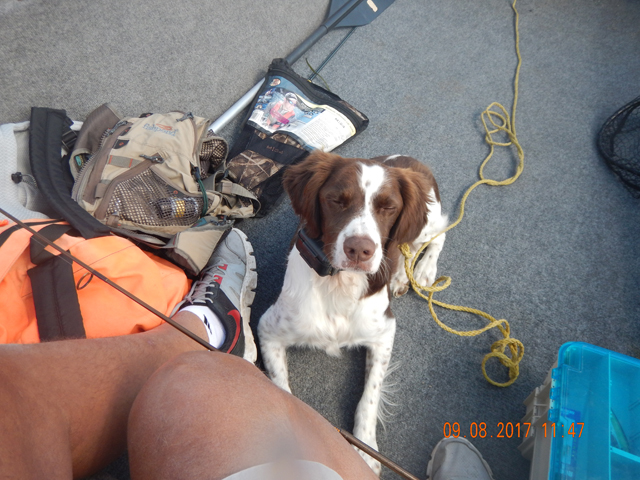 DSCN2564.jpg -                                This was a quiet as she was all trip.