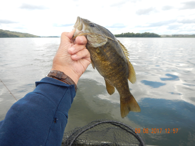 DSCN2569.jpg -                                This was about the biggest fish of the day.
