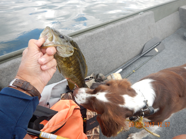 DSCN2570.jpg -                                Even Sunny wanted to get a sniff.