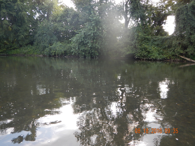 DSCN1623.jpg - The location certainly was fishy enough.                               