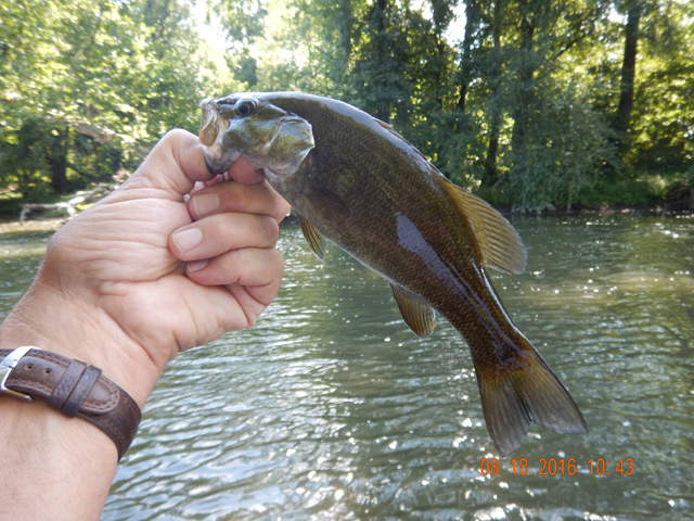 DSCN1636.jpg -           This was the last.  I only spent two hours fishing but did pretty well.                     