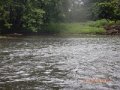 DSCN1628
