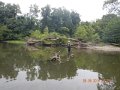 DSCN1602