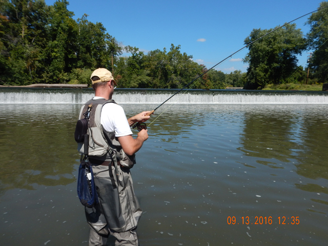 DSCN1663.jpg -                  Gary had a real treat on a fly rod.              
