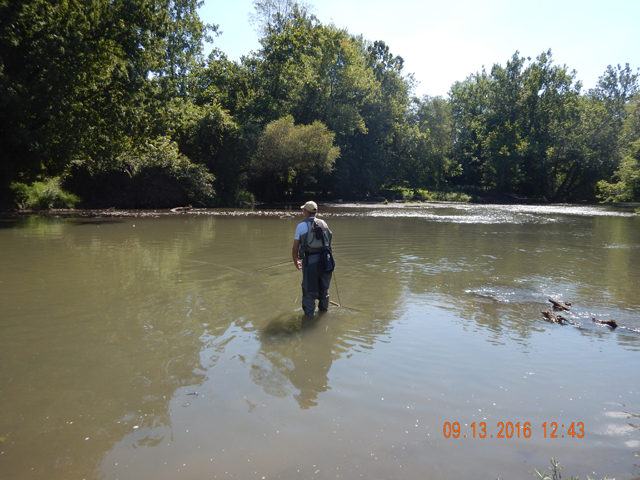 DSCN1668.jpg -              The water was almost muddy and it looked terrible.  We didn't catch a fish.                  