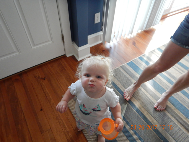 DSCN2378.jpg -                                