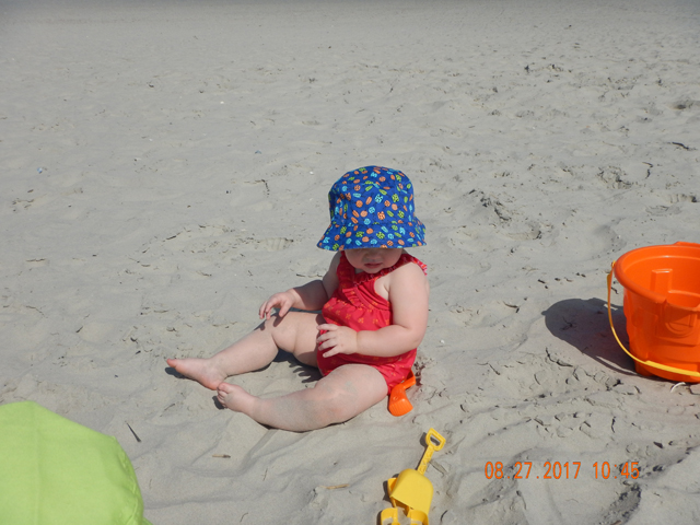DSCN2388.jpg -                                