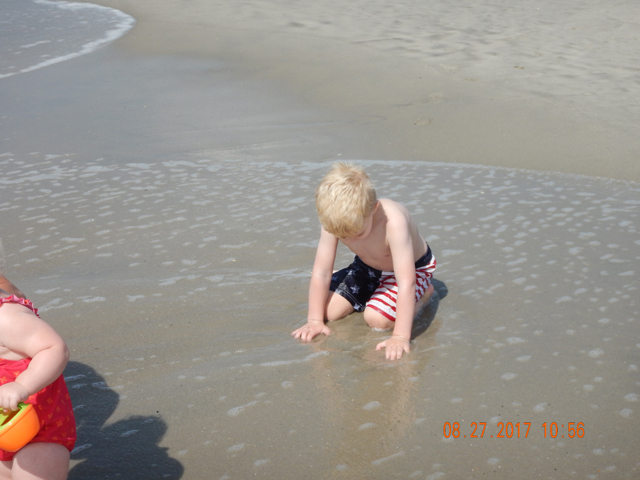 DSCN2406.jpg -                                