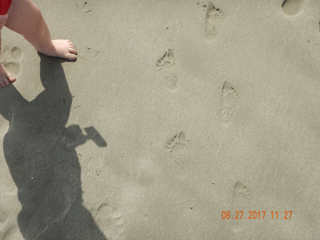 DSCN2407.jpg -                                