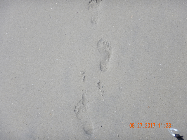DSCN2408.jpg -                                