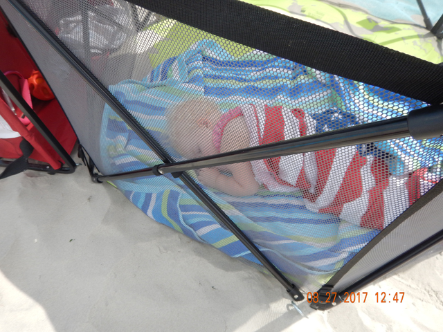 DSCN2414.jpg -                                