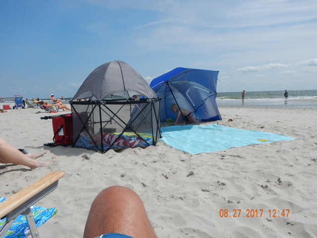 DSCN2415.jpg -                                