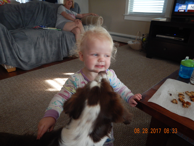 DSCN2423.jpg -                                