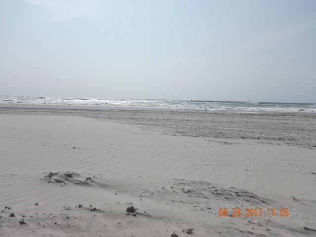 DSCN2433.jpg -                                