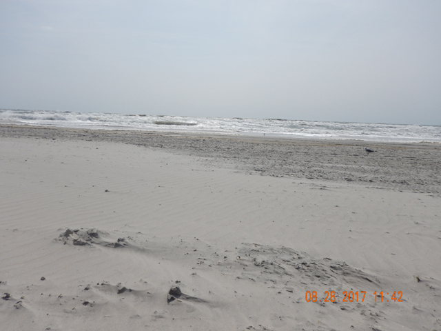 DSCN2435.jpg -                                