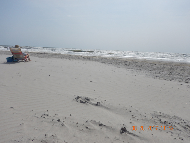 DSCN2436.jpg -                                