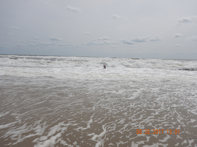 DSCN2440.jpg -                                