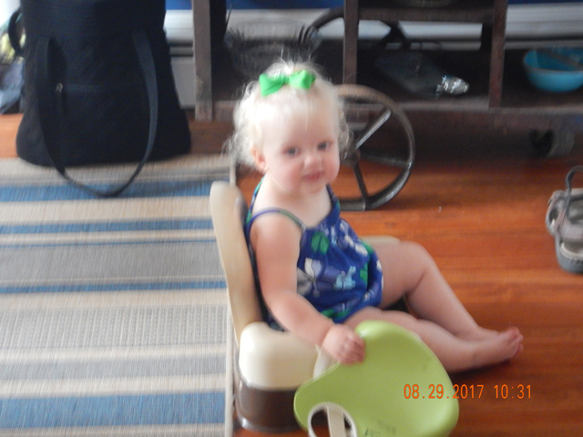 DSCN2444.jpg -                                