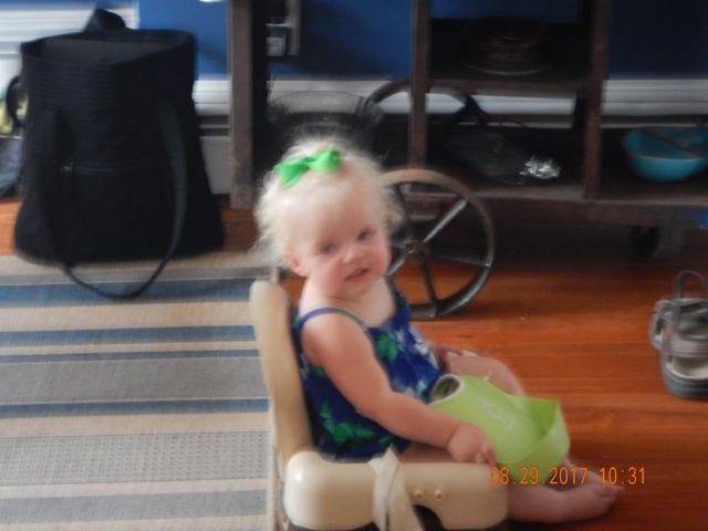 DSCN2445.jpg -                                