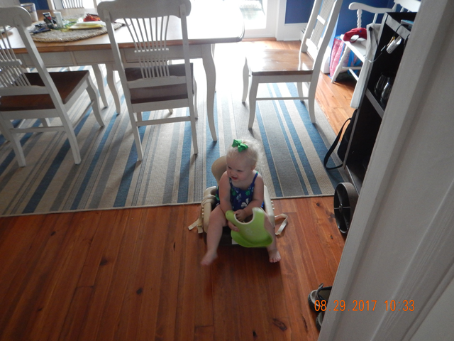 DSCN2446.jpg -                                