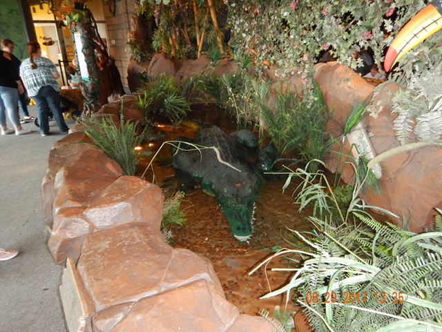 DSCN2461.jpg -                                
