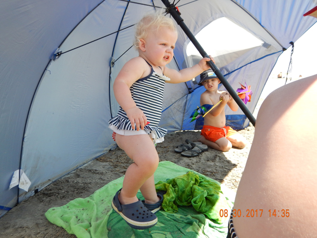 DSCN2481.jpg -                                