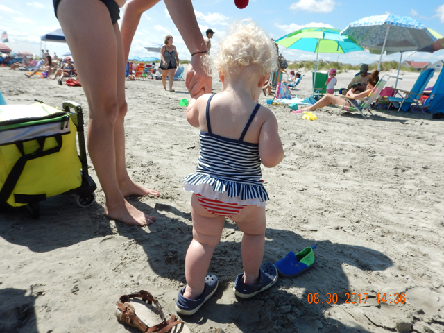 DSCN2487.jpg -                                