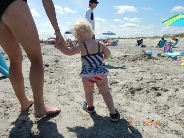 DSCN2488.jpg -                                