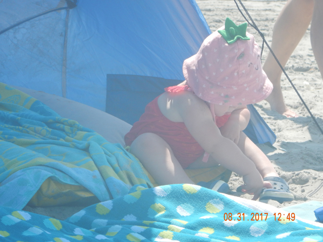 DSCN2522.jpg -                                