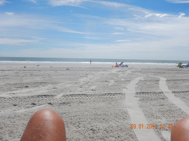 DSCN2524.jpg -                                