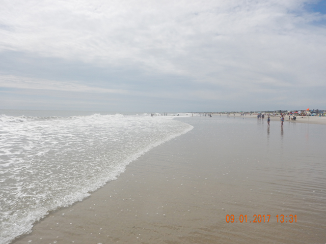 DSCN2528.jpg -                                