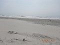 DSCN2435