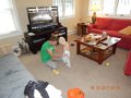 DSCN2464