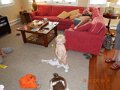 DSCN2465