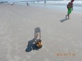 DSCN2504