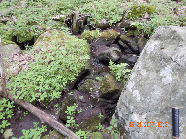 DSCN2143.jpg -                                Even after a day of T-Storms there was little to no water.