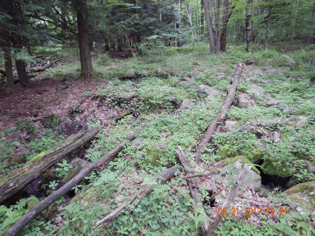 DSCN2144.jpg -                                If we didn't have GPS we never would hav found the stream.