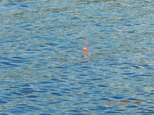DSCN2148.jpg -                                Watching a bobber....errr...strike indicator.  But, it was fun.