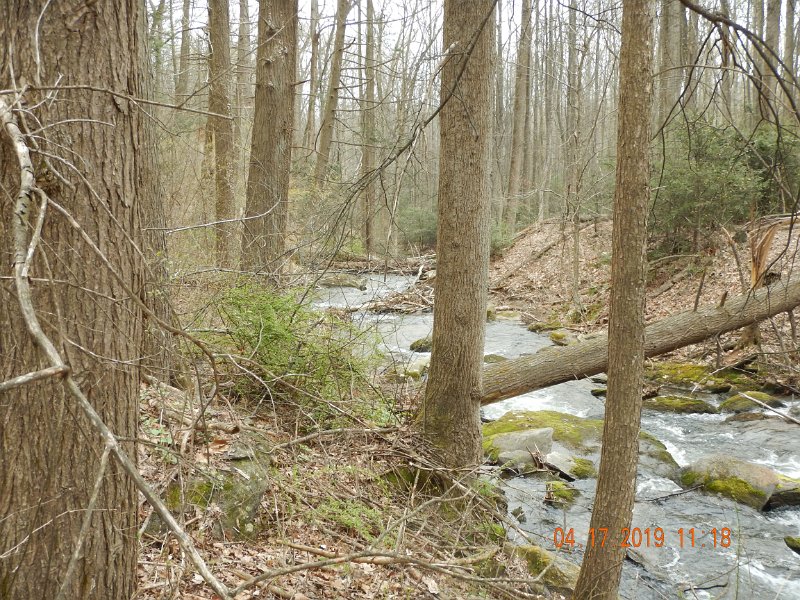 $TomsRun002$.jpg - The stream also parallels the Appalachian Trail for a short disdance.  That could account for heavier than normalpreasure but the temperature was right and there were bugs in the air.