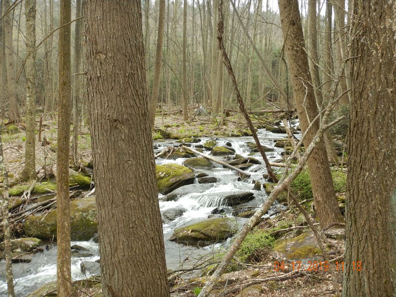 $TomsRun003$.jpg - Both Gary and I fished this stream pretty hard for a couple of hours.  You'd think we'd at least get a hit or two but, nothing.  Probably won't be back to this one for a while