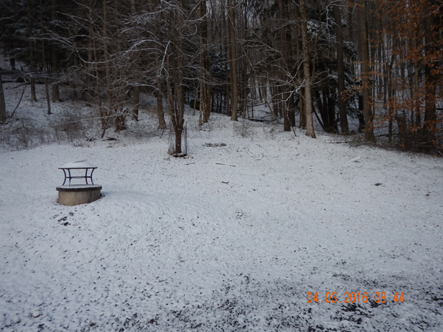 DSCN1006.jpg -                                Then, this is what we woke up to on Sunday morning.  SNOW!!  On the 3rd of April. 