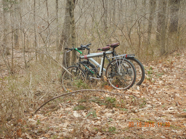 DSCN0863.jpg -                                Parked near the stream, lashed to a tree...but, really, who would steal them out here???  There was no body around for miles.