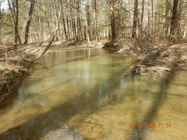 DSCN0865.jpg -                                Water looked good.  A light cadis hatch was in the air with one or two bugs on the water but, alas, no fish taking them.