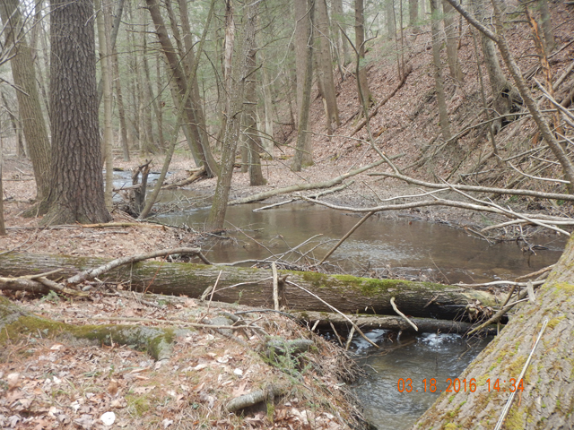 DSCN0874.jpg -                                You can' tell but the wind was blowing with 40 mph gusts making casting a real chore.