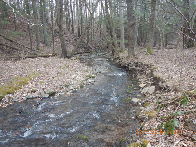 DSCN0876.jpg -                                This stream holds a bunch of wild brookies and will be a hoot to fish later in the Spring.
