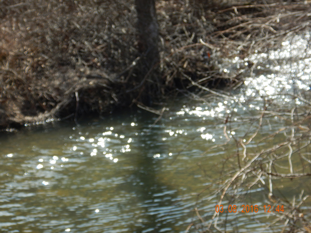 DSCN0849.jpg -                                Looked like good trout habitat.  Just no cooperative trout!