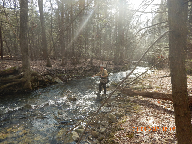 DSCN0855.jpg -                                Here is Ed on Laurel Run.  Stream is really beautiful in contrast to the Willow.