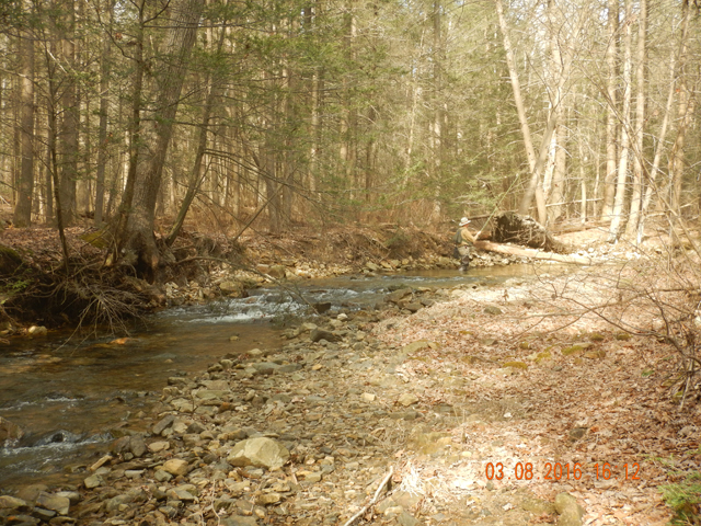 DSCN0859.jpg -                                Another scenic shot of Laurel Run.  A little ways down stream the name changes to Little Valley Creek, I believe. 